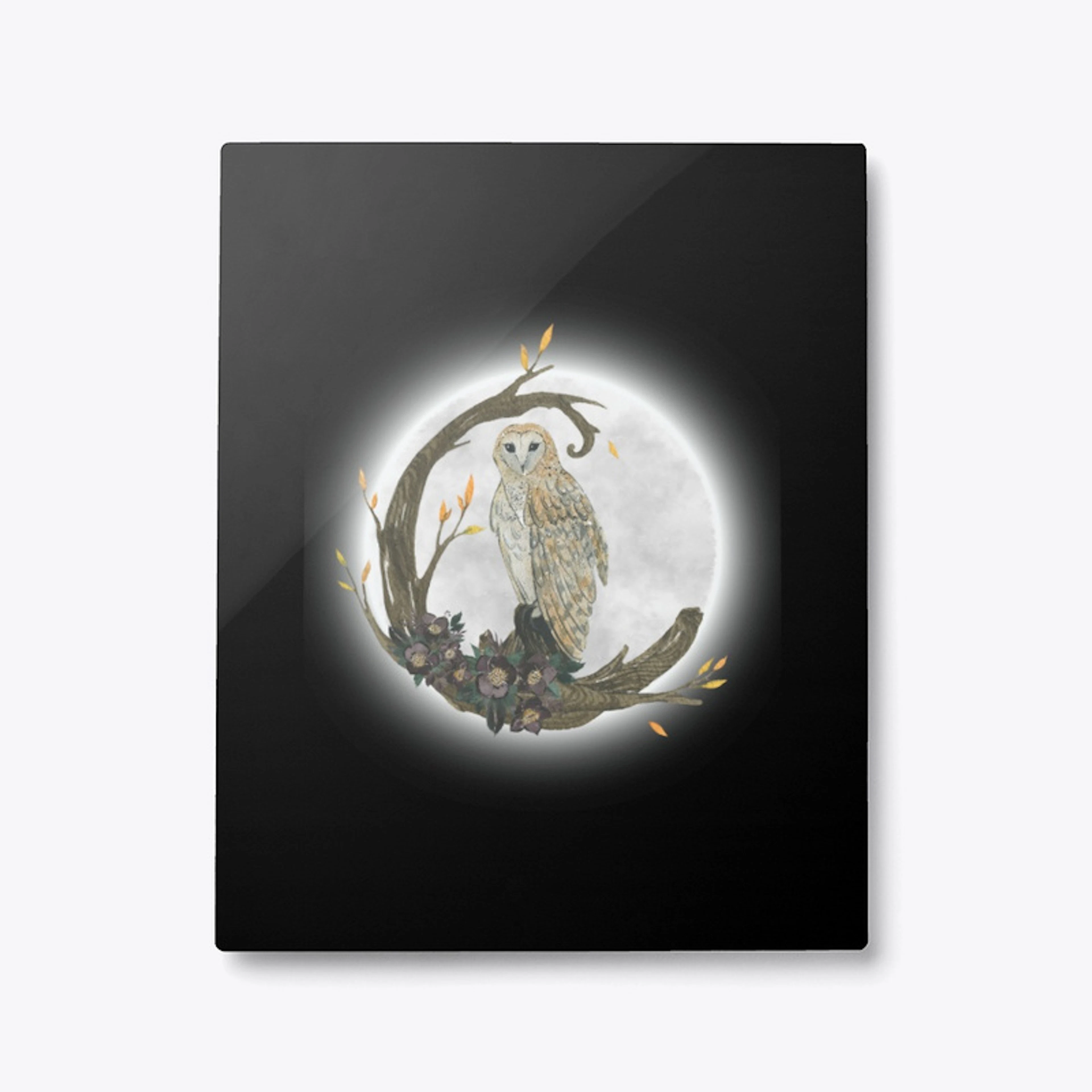 Owl And Moon